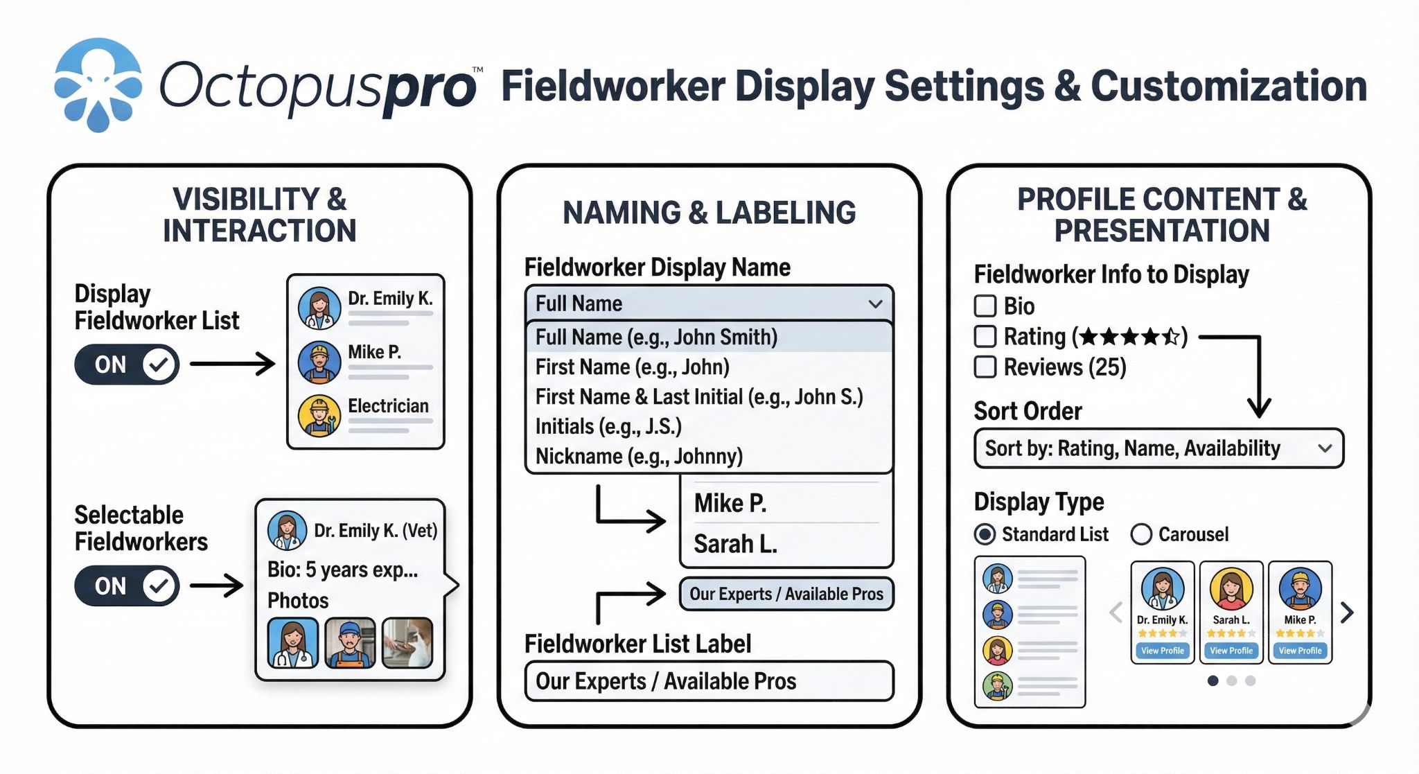 Fieldworker display settings and customization